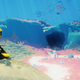 Image: Giant Squid Studios
